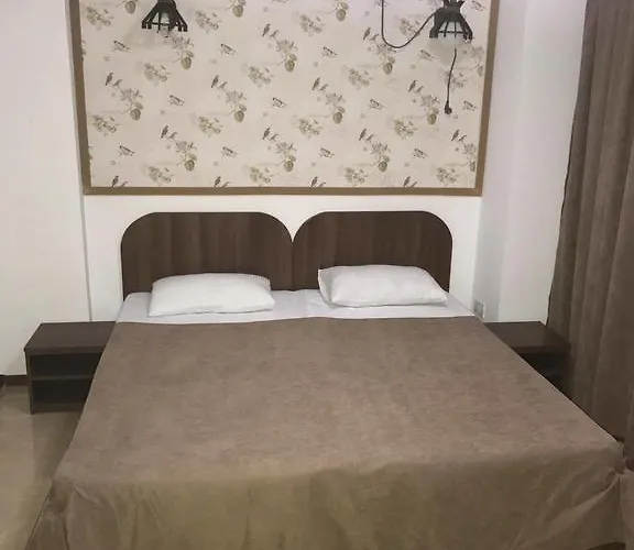 ゲストハウス Denisa コンスタンツァ